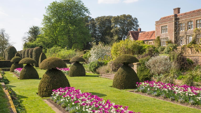 Pink and white tulips and topiary in the Sunken Garden with the house in the background at Hinton Ampner